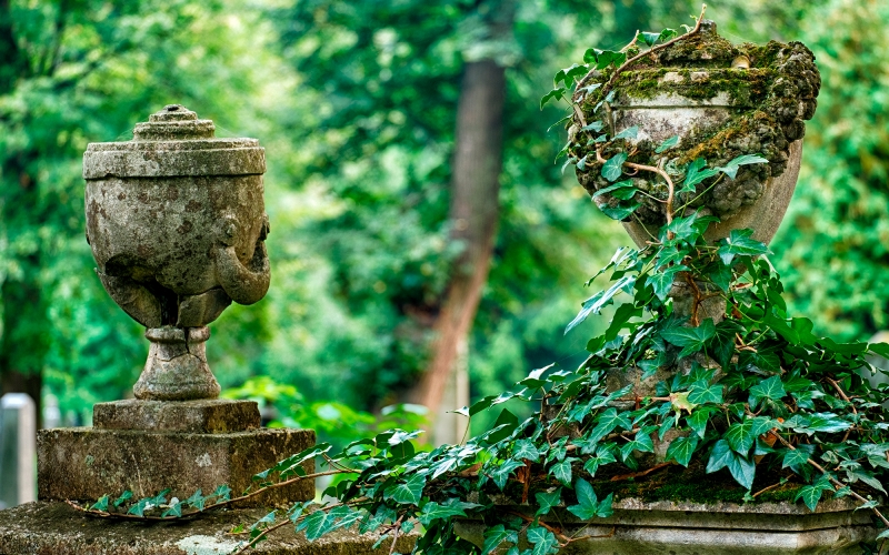 Lychakiv Cemetery guided tour-2