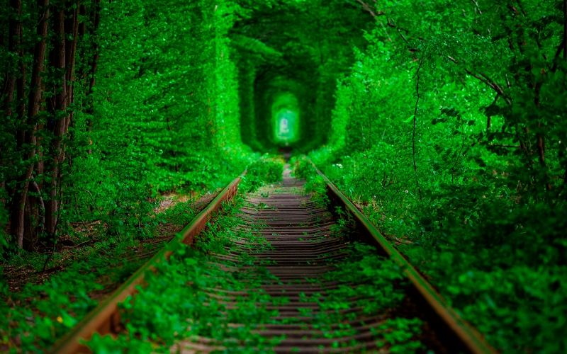 Lutsk and The Tunnel of Love full-day tour-0