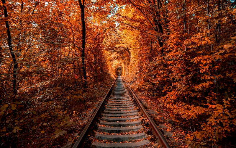 Lutsk and The Tunnel of Love full-day tour-1