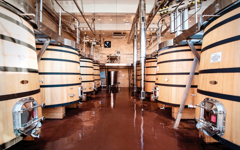 Akkerman Fortress and Local Winery Full-day guided tour-7