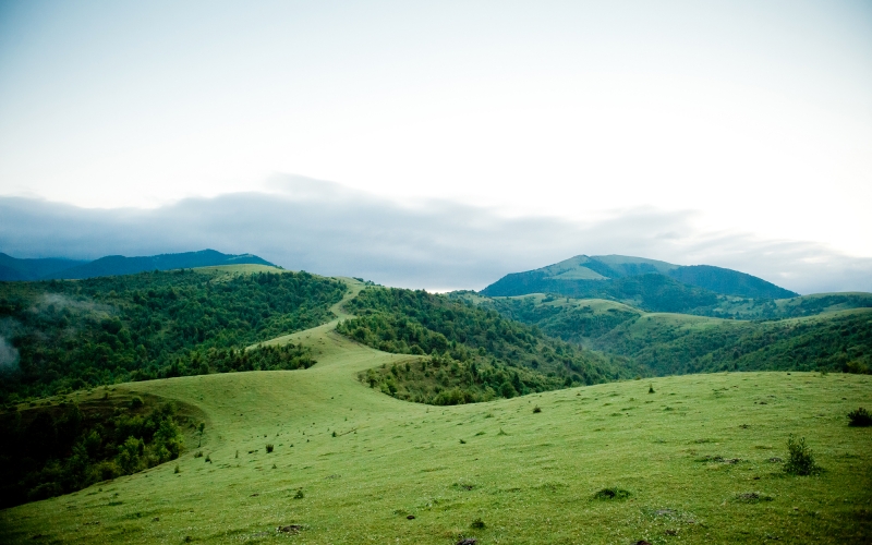 Synevyr Lake and Kolochava folk-village 2-day tour-5