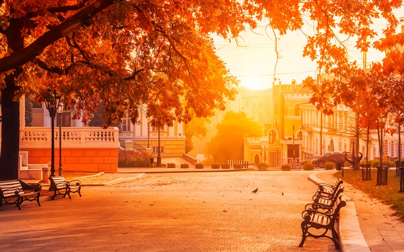 Odessa Half-day guided walking tour-2