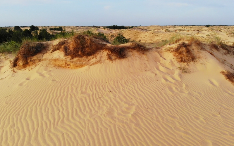 Pink Lake, Sandy Desert and Zebras feeding / 2-days Combo guided tour-7