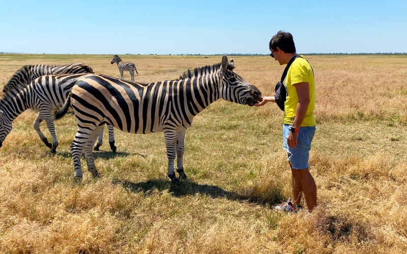 Pink Lake, Sandy Desert and Zebras feeding / 2-days Combo guided tour-5