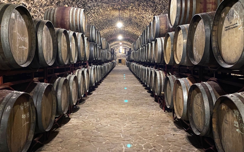 Prince Trubetskoy Winery guided tour-1
