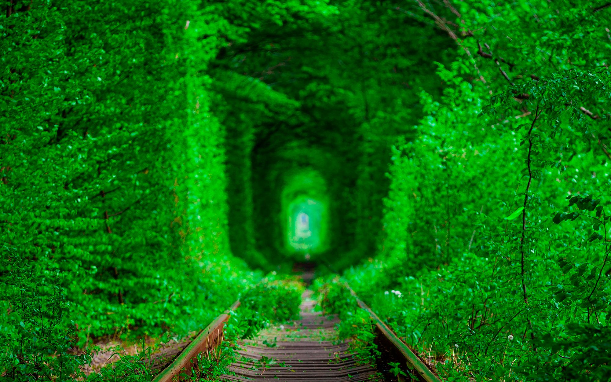 Tunnel of Love | Klevan, Rivne oblast