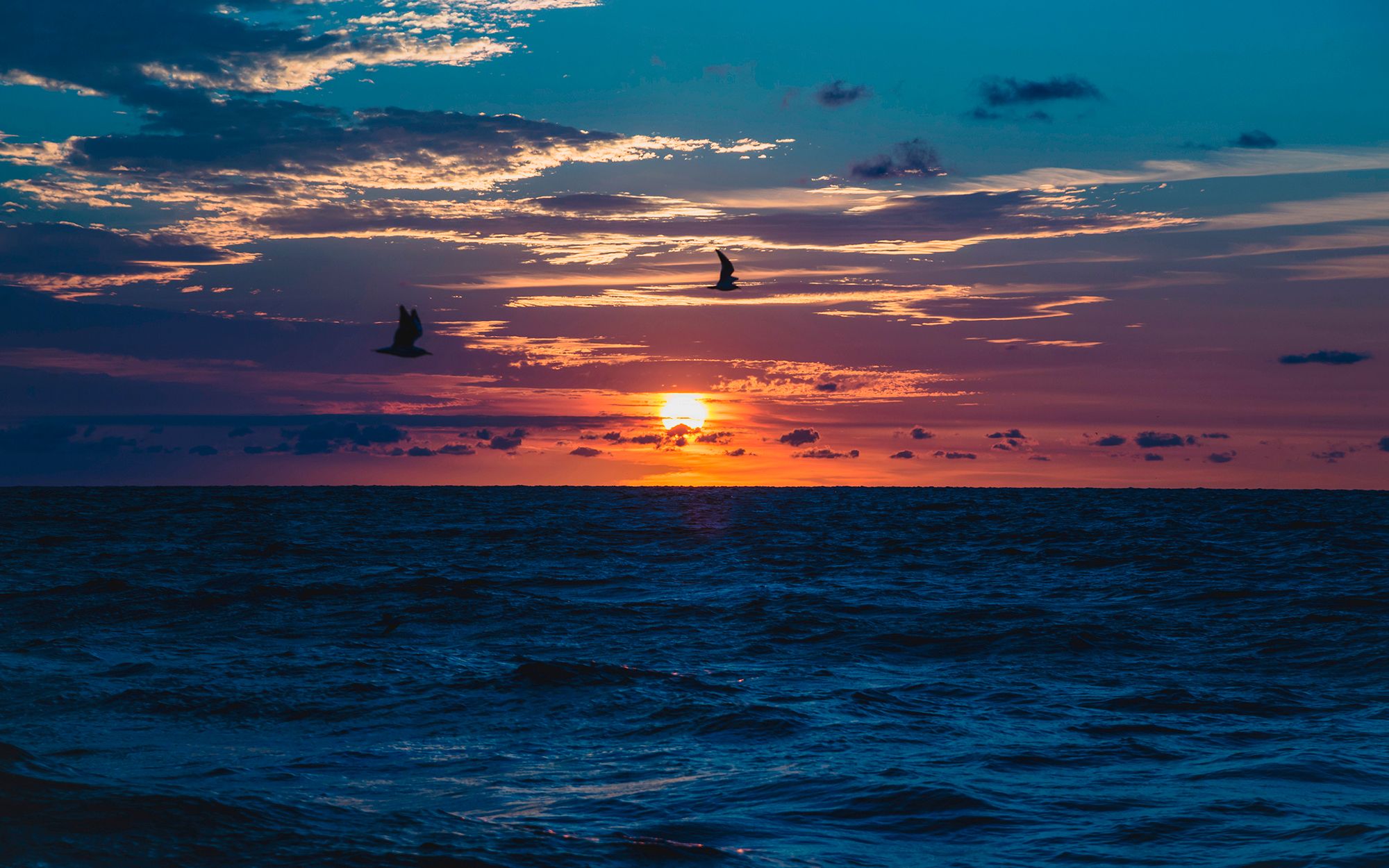 The Black Sea | Odessa