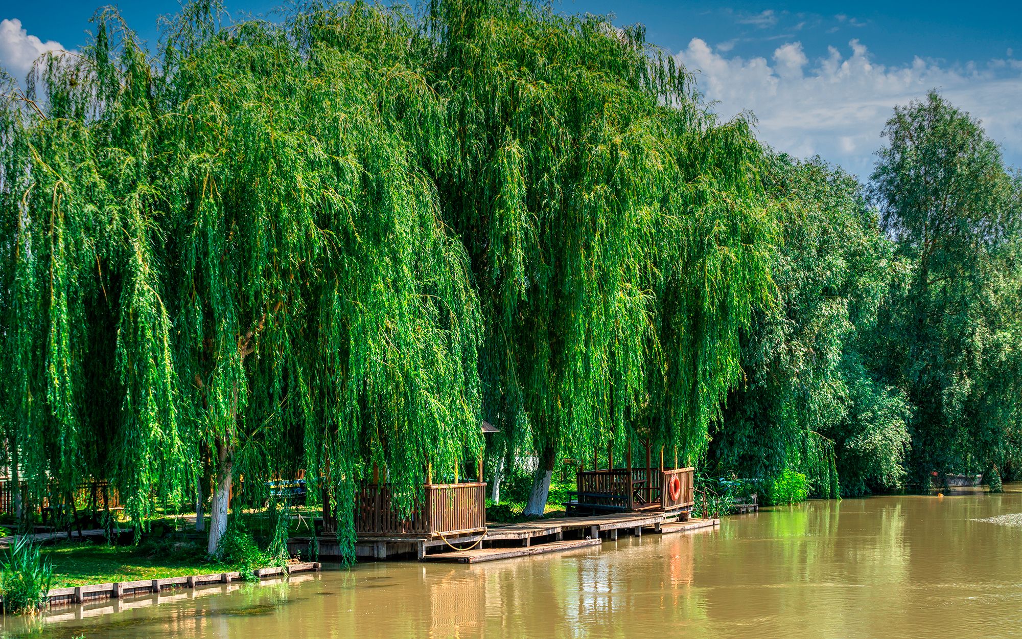 Channels of Vilkovo | Vilkovo, Odessa oblast