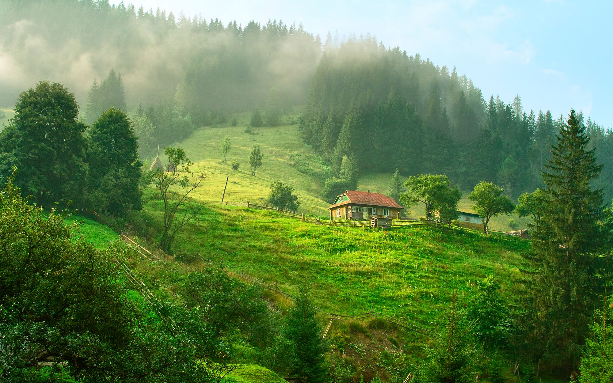 Carpathians morning | near Verkhovyna