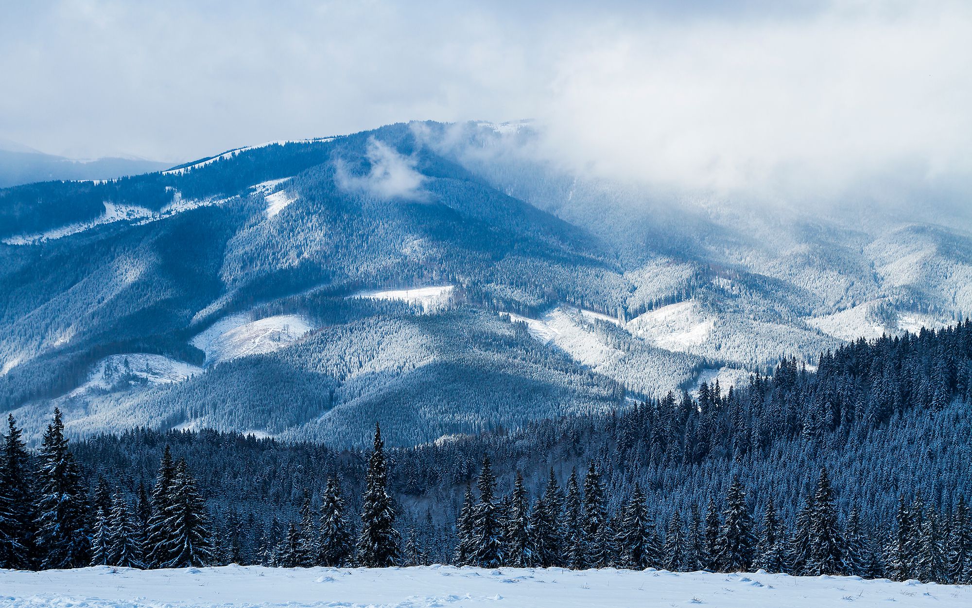 Views from slopes | Bukovel ski resort