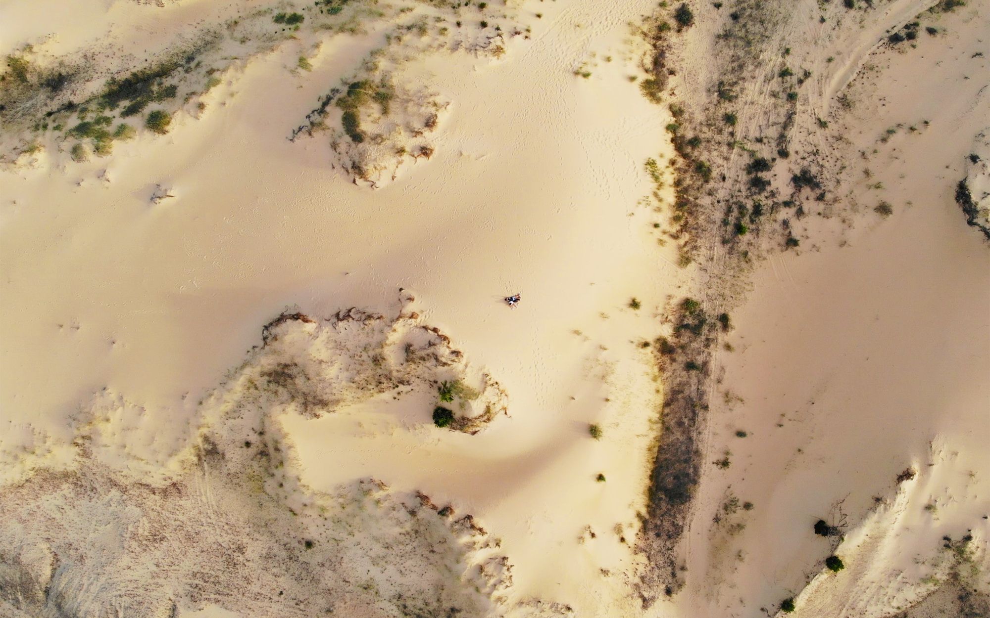 Oleshky Sands Desert | Kherson Oblast