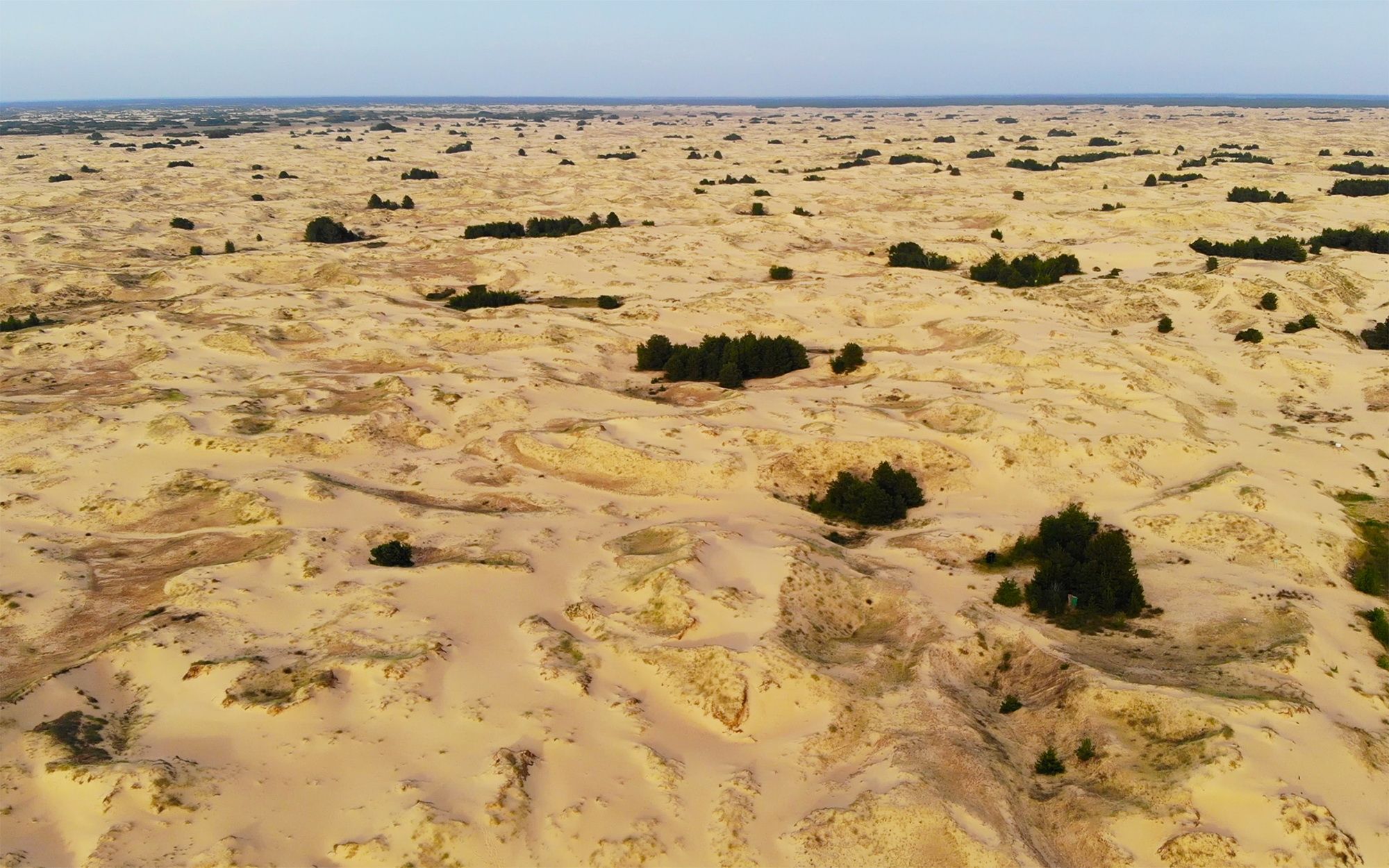 Oleshky Sands Desert | Kherson Oblast