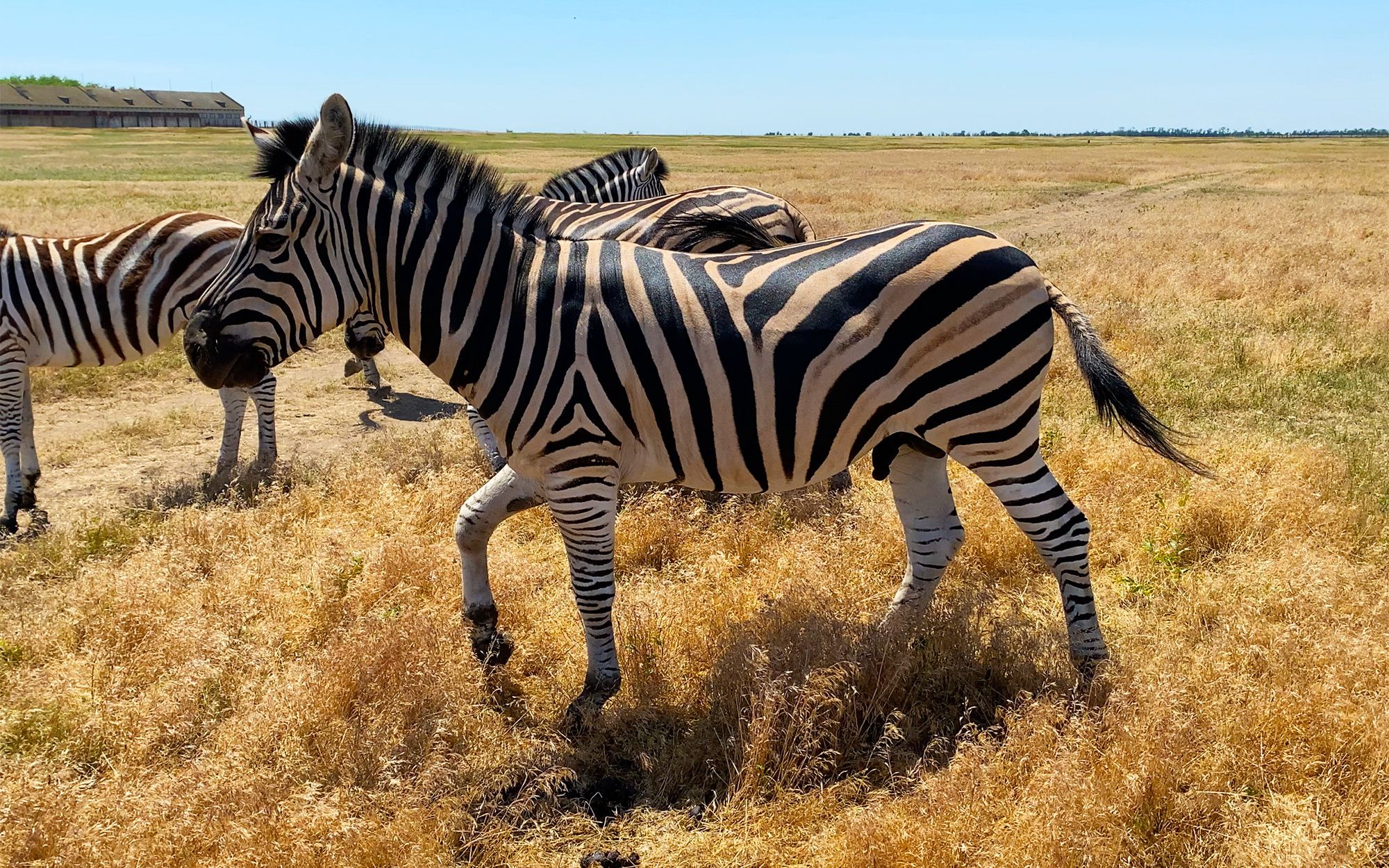 Askania Nova Biosphere Reserve | Kherson Oblast
